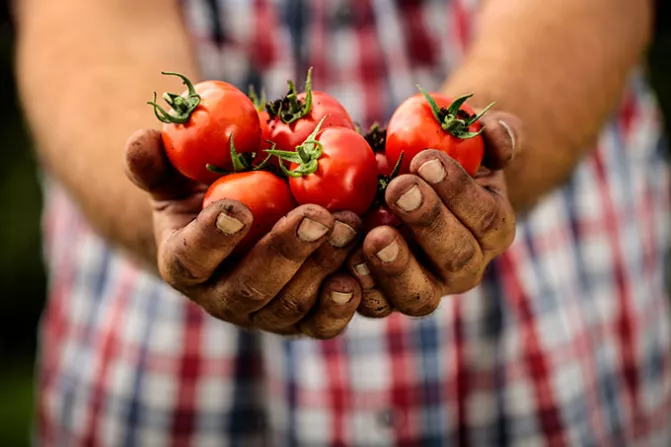 CSR - Sustainable Ingredients Thumbnail