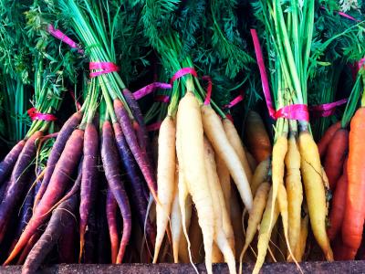Variety of carrots