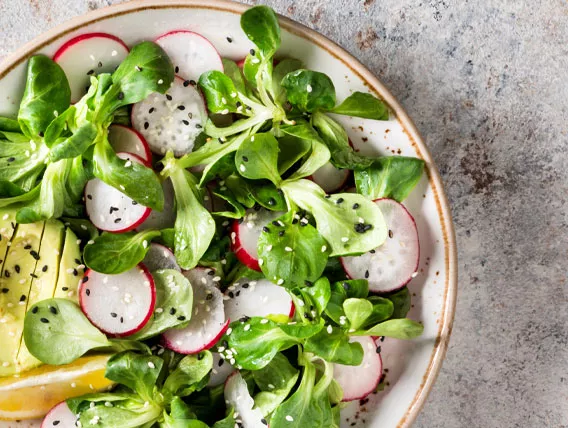 Salad of watercress, radish and avocado