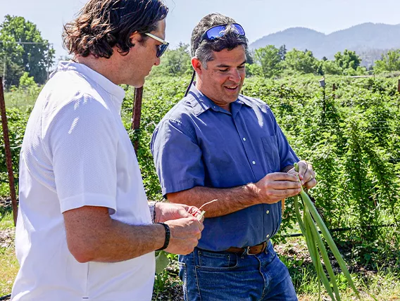 Chef and farmer looking at crop